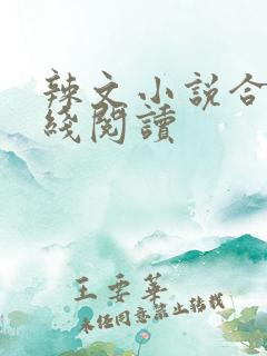 辣文小说合集在线阅读