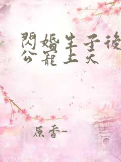 闪婚生子后被老公宠上天