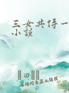 三女共侍一夫 小说
