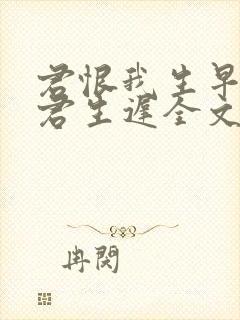 君恨我生早我恨君生迟全文