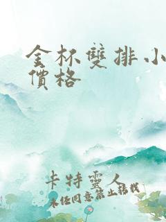 金杯双排小货车价格