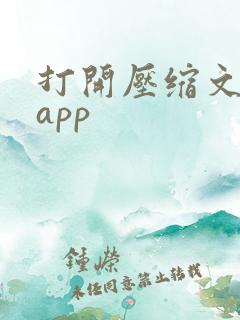 打开压缩文件的app