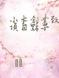 小本创业致富好项目点子