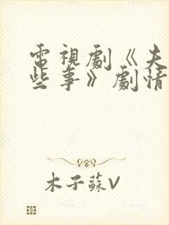 电视剧《夫妻那些事》剧情