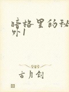 暗格里的秘密番外1