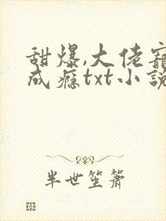 甜爆,大佬宠妻成瘾txt小说下载