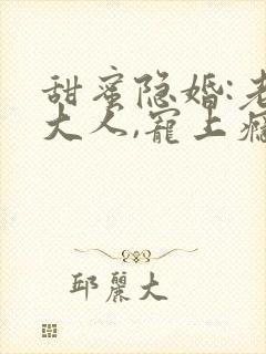 甜蜜隐婚:老公大人,宠上瘾