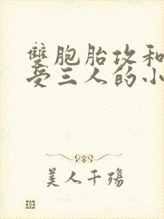 双胞胎攻和双性受三人的小说