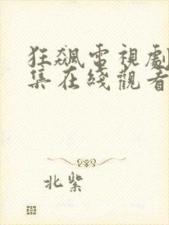 狂飙电视剧40集在线观看免费追剧网