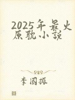 2025年最火原耽小说