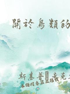 关于鸟类的动画