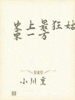 史上最狂姑爷 东一方