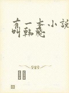 有一本小说主角叫韩飞
