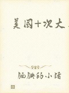 美国+次大导航