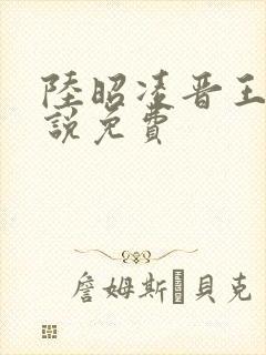 陆昭凌晋王的小说免费