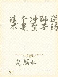 这个冲师逆徒才不是圣子的小说