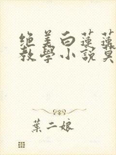 绝美白莲莲在线教学小说莫之阳