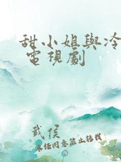 甜小姐与冷先生 电视剧