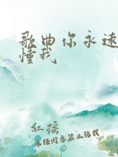 歌曲你永远都不懂我