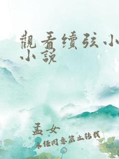 观看续弦小夫人小说