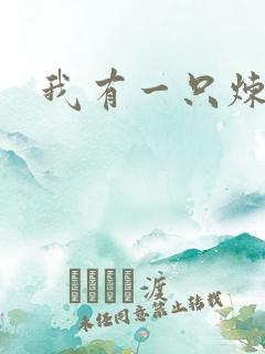 我有一只炼妖壶