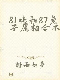 81鸡和87兔子属相合不合婚