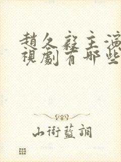 赵久毅主演的电视剧有哪些
