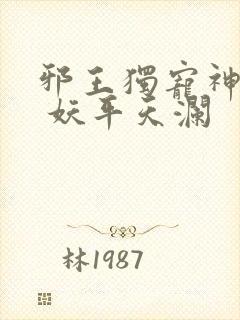 邪王独宠神医妃 妖平天澜