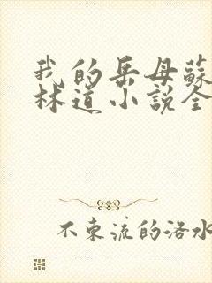 我的岳母苏沛真林道小说全文