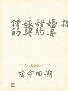 错嫁甜婚 总裁的契约妻