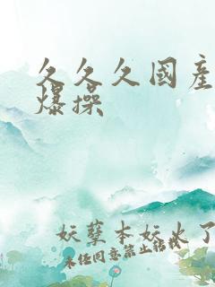 久久久国产精品爆操