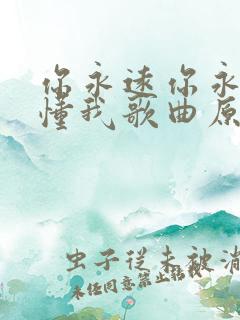 你永远你永远不懂我歌曲原唱