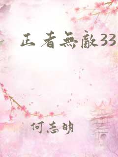 正者无敌33集