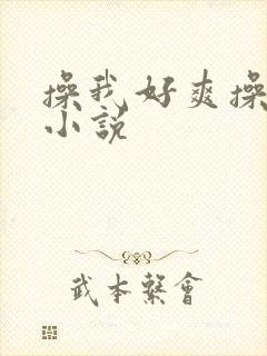 操我好爽操死我小说