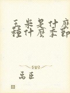 玉米是什么季节种什么季节收