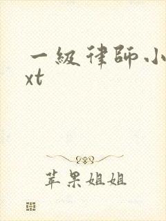 一级律师小说txt