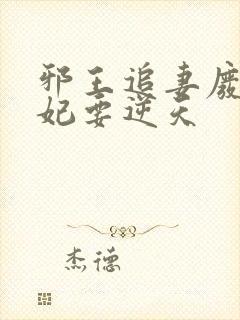 邪王追妻废材狂妃要逆天