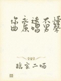 你永远不懂我歌曲原唱男声