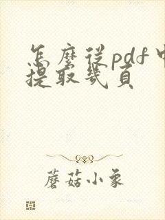 怎么从pdf中提取几页