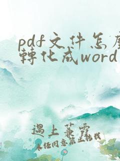 pdf文件怎么转化成word文档
