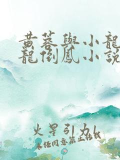 黄蓉与小龙女变龙倒凤小说