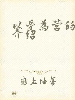 以爱为营的剧情介绍