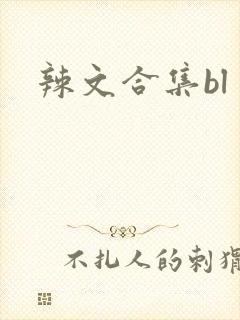 辣文合集bl