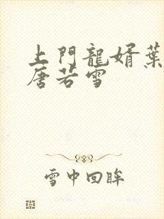 上门龙婿叶凡和唐若雪