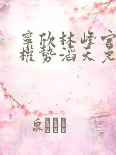 宁欣林峰官道之权势滔天免费阅读