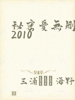 秘密爱无删减版2010