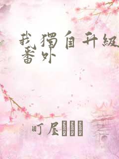 我独自升级漫画番外