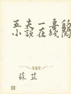 五夫一妻的幸福小说在线阅读