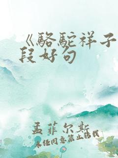 《骆驼祥子》好段好句