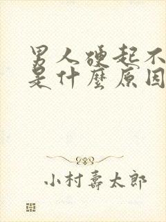 男人硬起不起来是什么原因